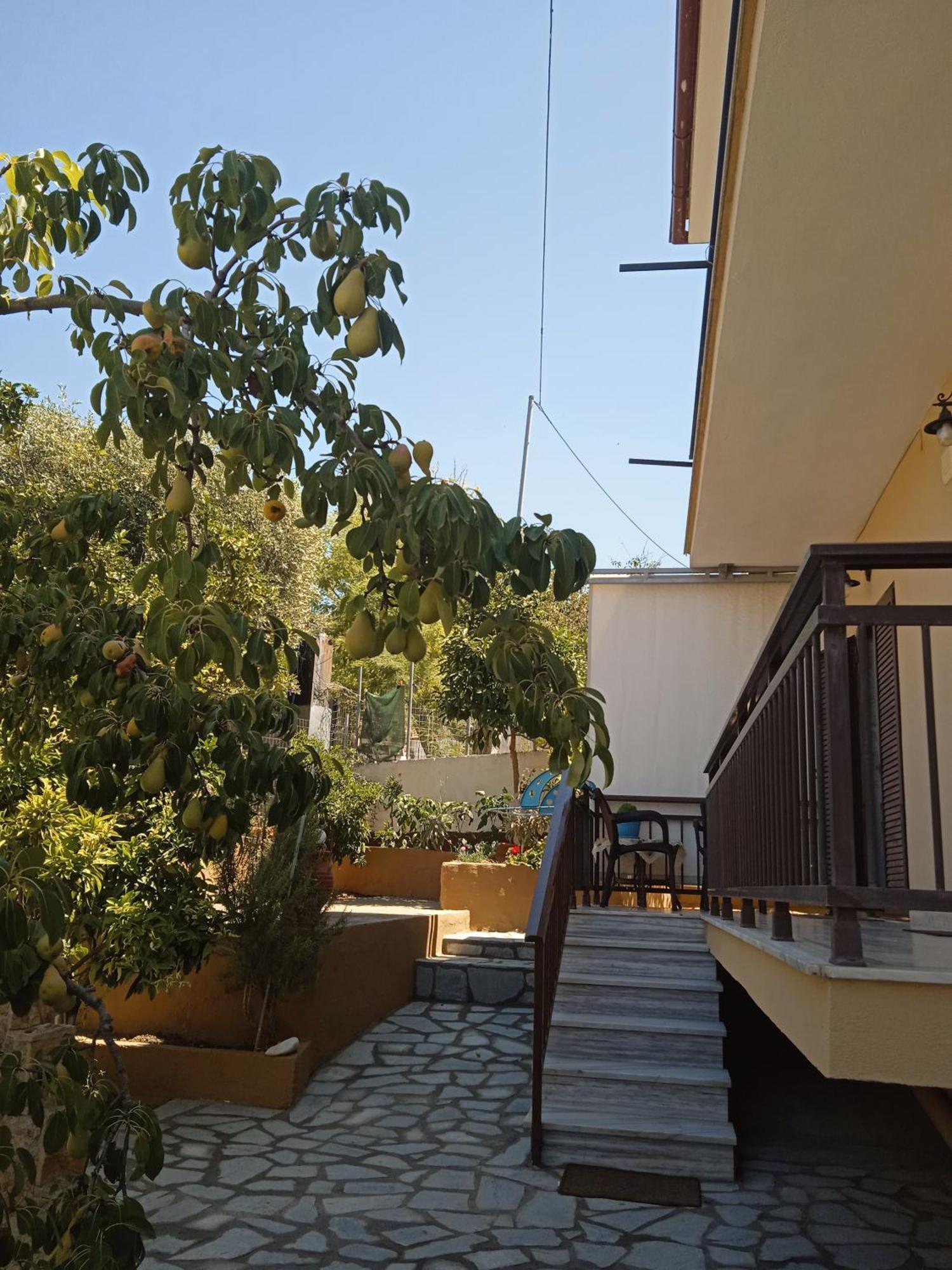 Dimitra'S Garden Apartments Skála Kallirákhis エクステリア 写真